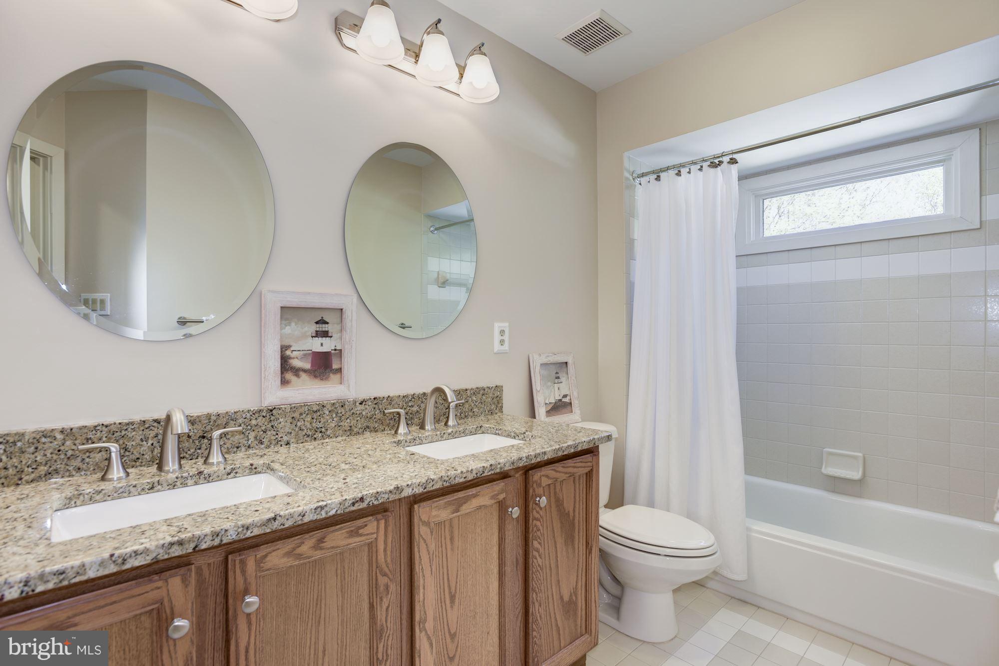 1106 Water Pointe Lane Reston, VA 20194 - Photo 21 of 30 Natural light in updated Upper Hall Bathroom