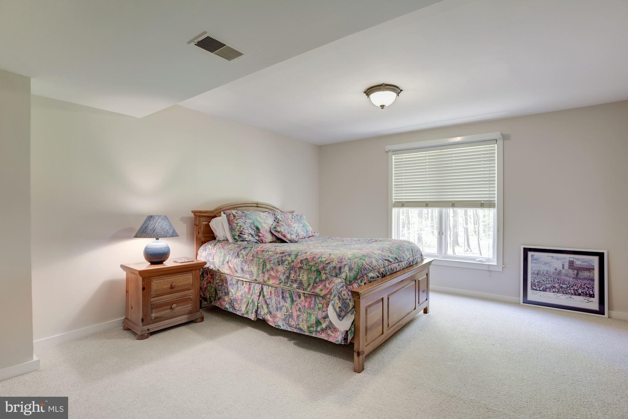 1106 Water Pointe Lane Reston, VA 20194 - Photo 25 of 30 Bright Bedroom #5/Au Pair Suite w/access to Bath