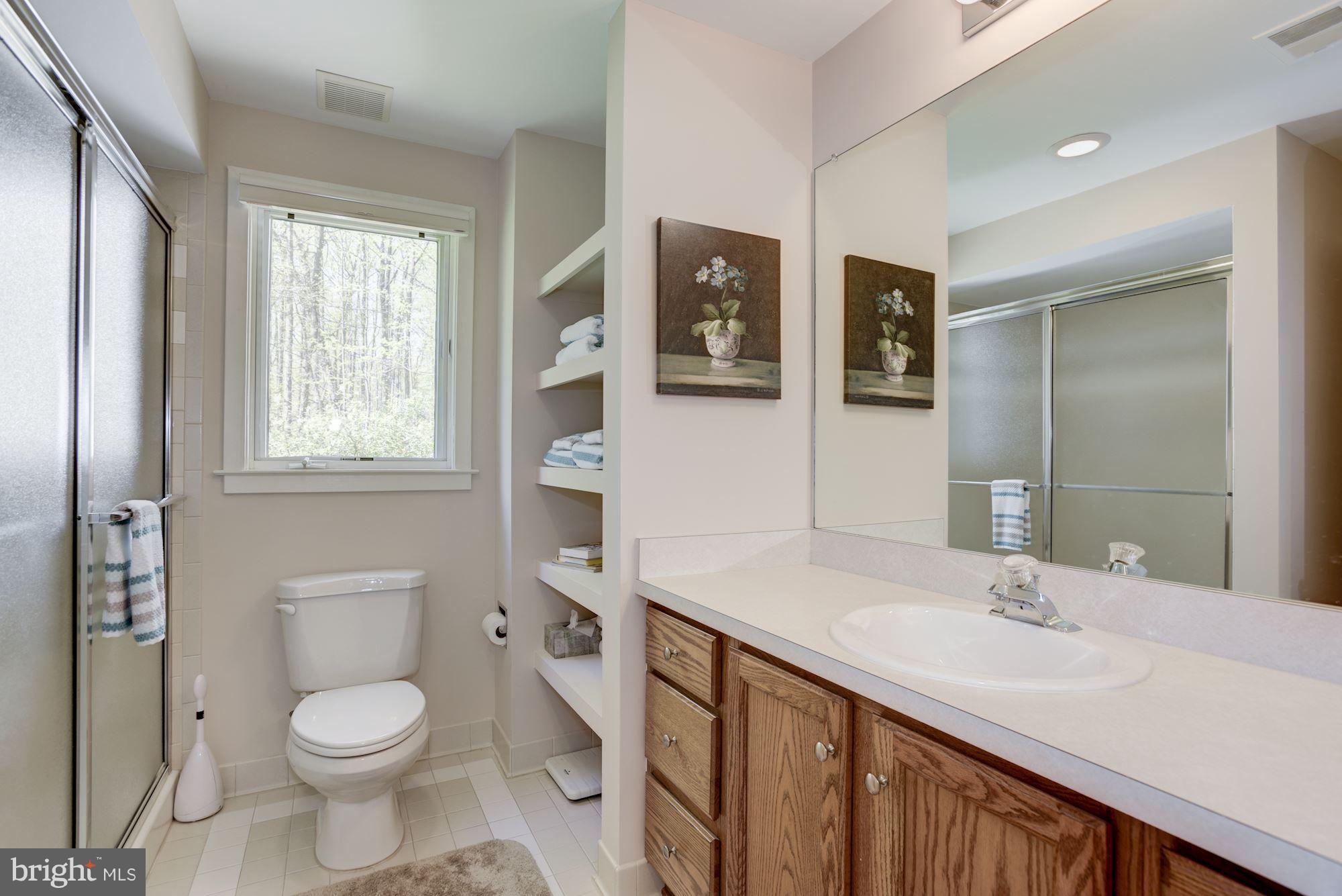 1106 Water Pointe Lane Reston, VA 20194 - Photo 26 of 30 Decorative tile in Full Bath #3