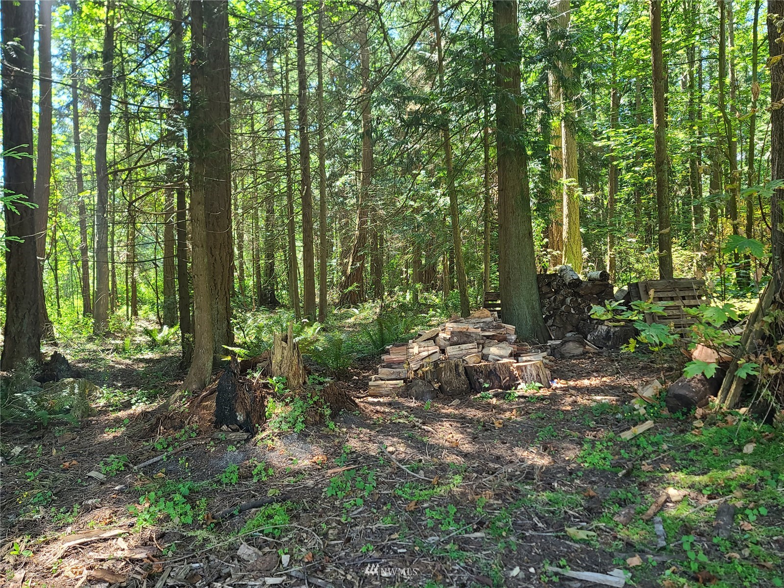 715 Ell Road Camano Island, WA 98282 - Photo 3 of 27