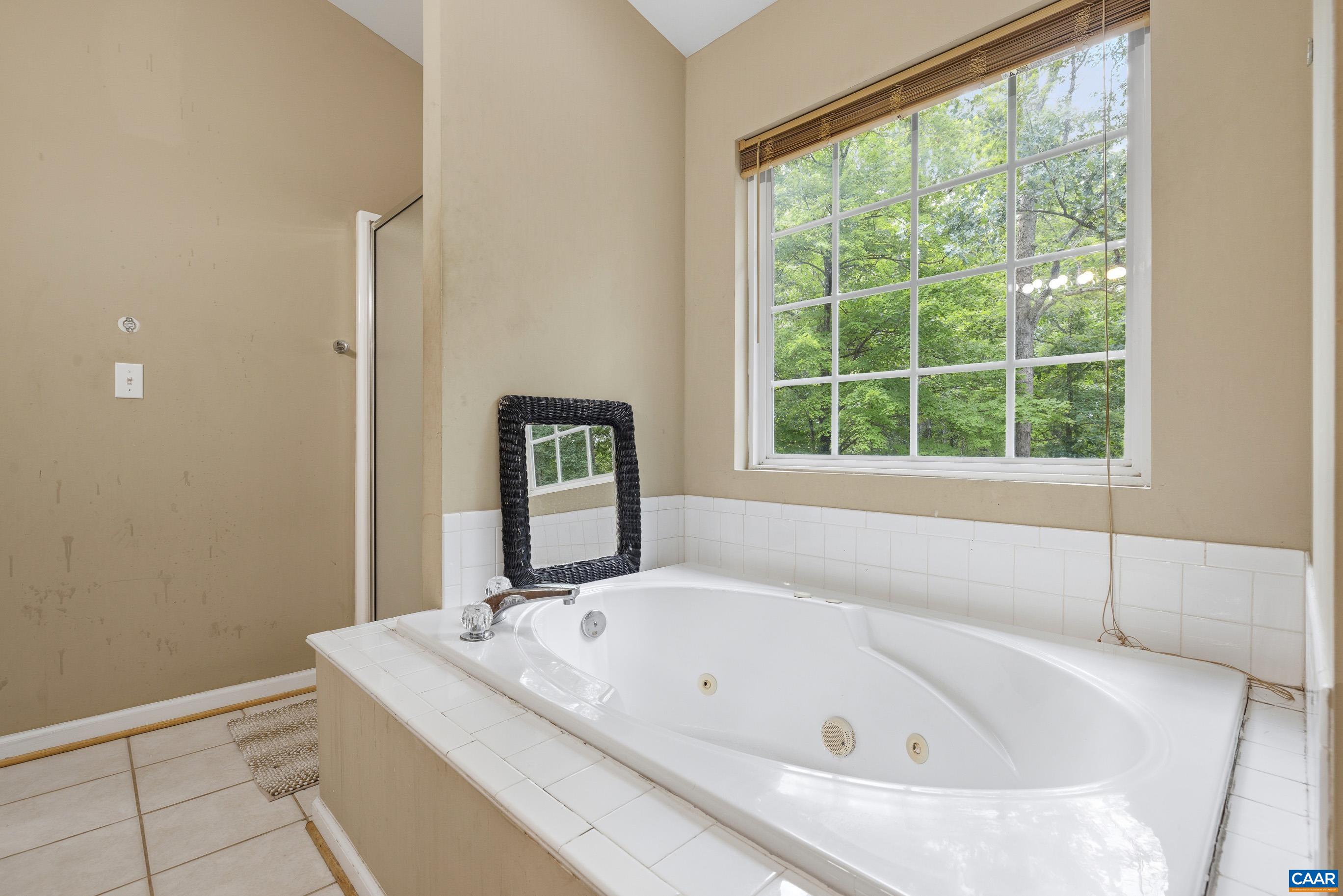 29 Cliftwood Road Palmyra, VA 22963 - Photo 31 of 36