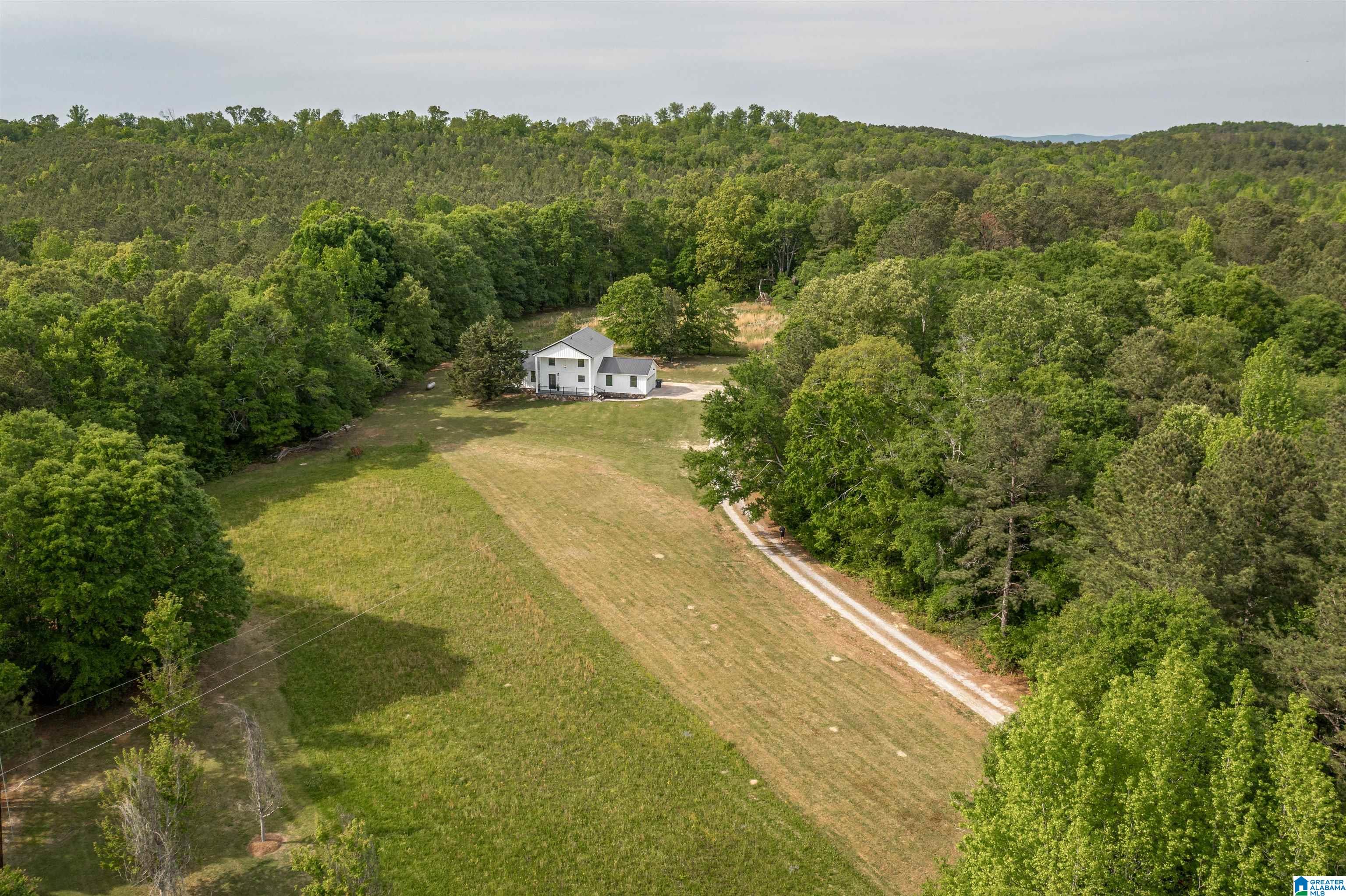 4470 Green Valley Road Gadsden, AL 35907 - Photo 3 of 53