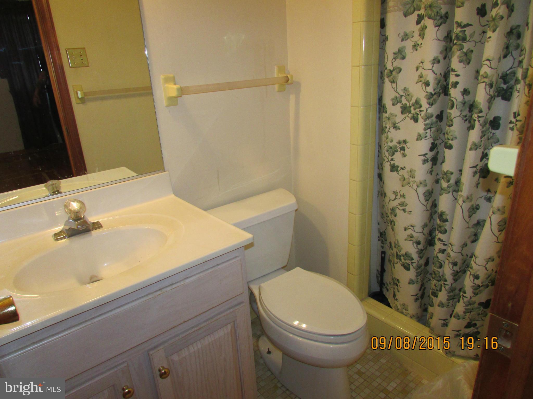 3303 West Watersville Road Mount Airy, MD 21771 - Photo 11 of 20 Bath (Master)
