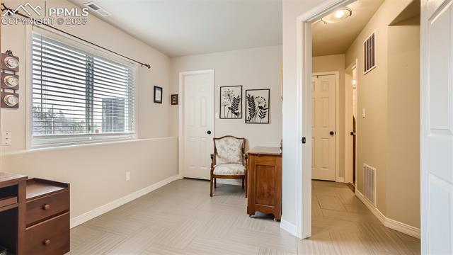 4710 Sandstone Road Monument, CO 80132 - Photo 22 of 28 Basement bedroom with walk in closet