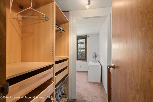 a bathroom with a shower and a sink