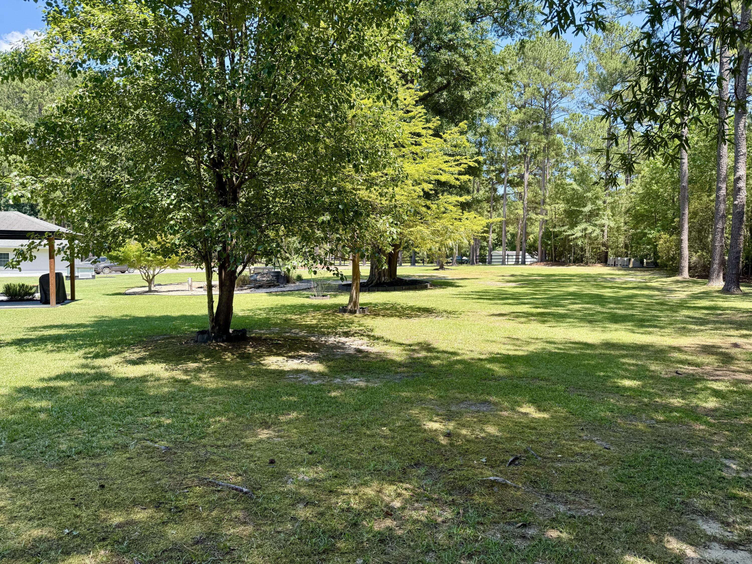 1090 Winding Pond Road Manning, SC 29102 - Photo 20 of 59 MATURE TREES