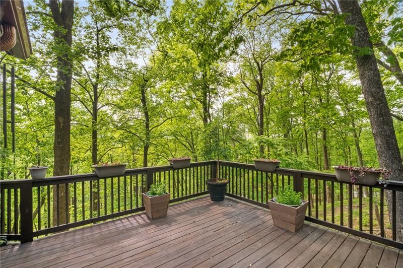 334 Little Pine Mountain Road Jasper, GA 30143 - Photo 40 of 63 Gallery Image 40