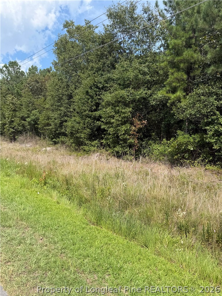 Siversten Road Autryville, NC 28318 - Photo 2 of 2 Gallery Image 2