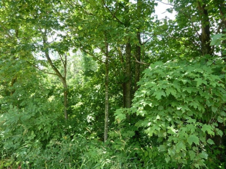 13700 Cambria Road Camden, MI 49232 - Photo 2 of 15 Additional Photo