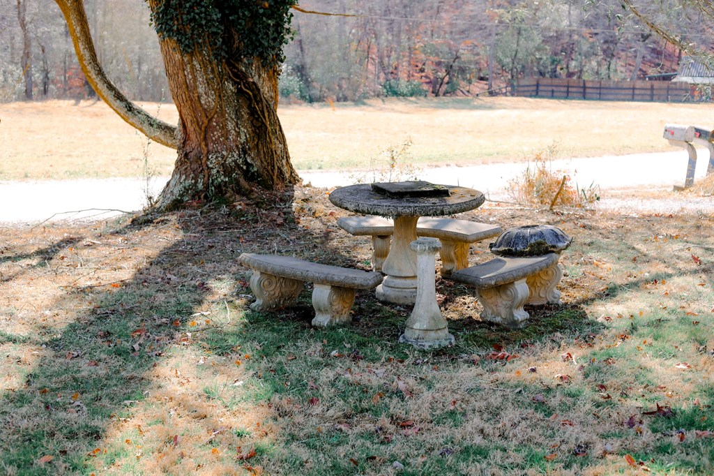 40 South Lucius Road Cherry Log, GA 30522 - Photo 14 of 41 Gallery Image 14