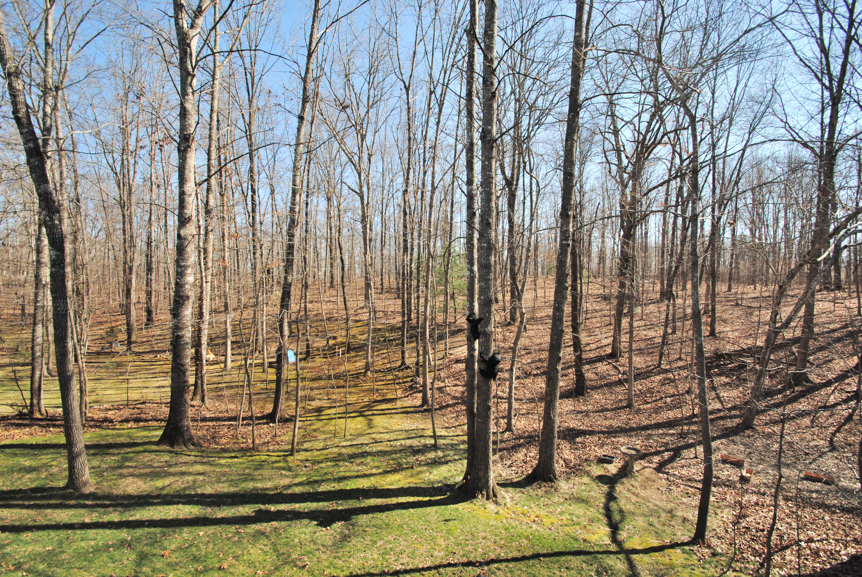 138 Norcross Road Fairfield Glade, TN 38558 - Photo 25 of 26 138 NORCROSS