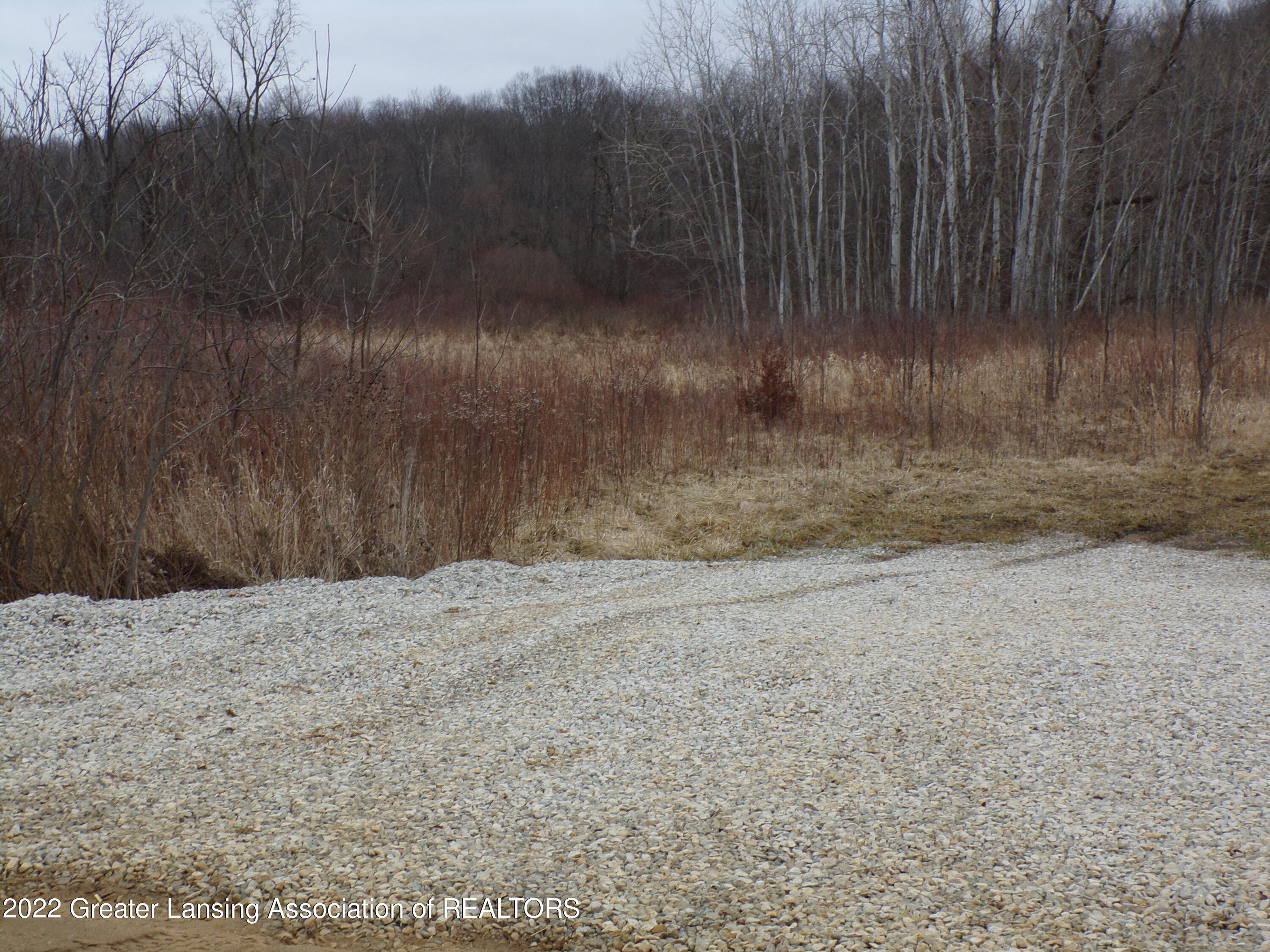 0 Curtis Road Bellevue, MI 49021 - Photo 23 of 33 100_0046