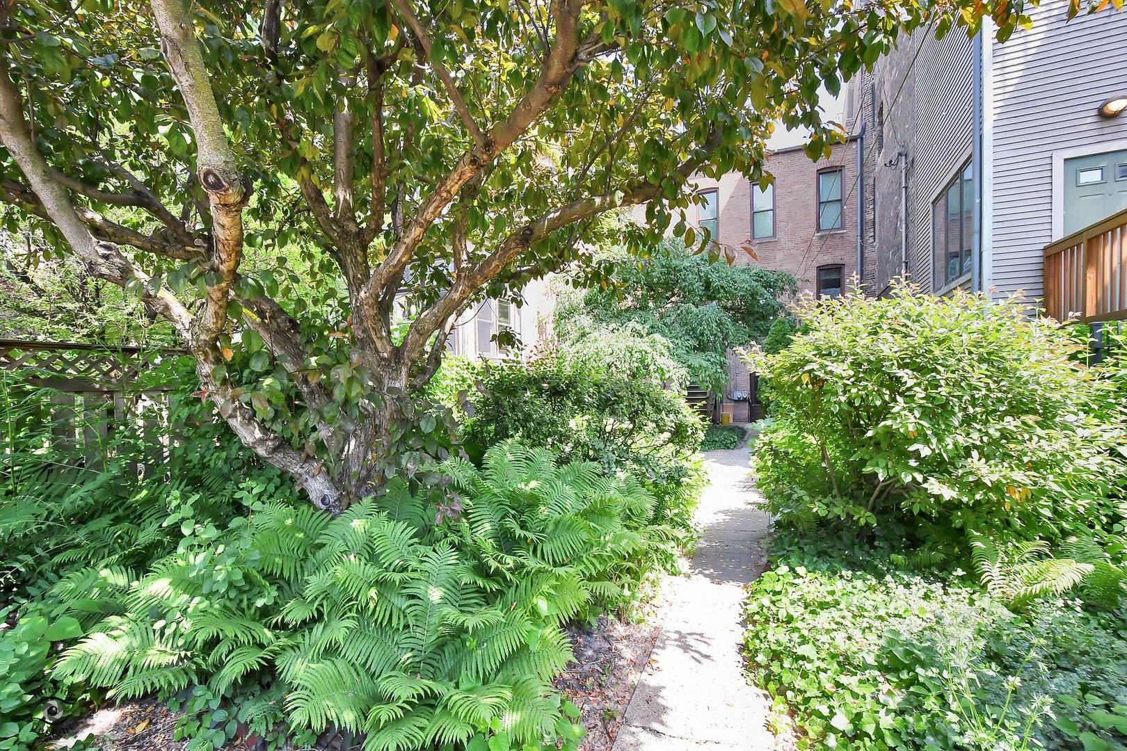 1515 West Jackson Boulevard Chicago, IL 60607 - Photo 12 of 21 a view of a garden with plants