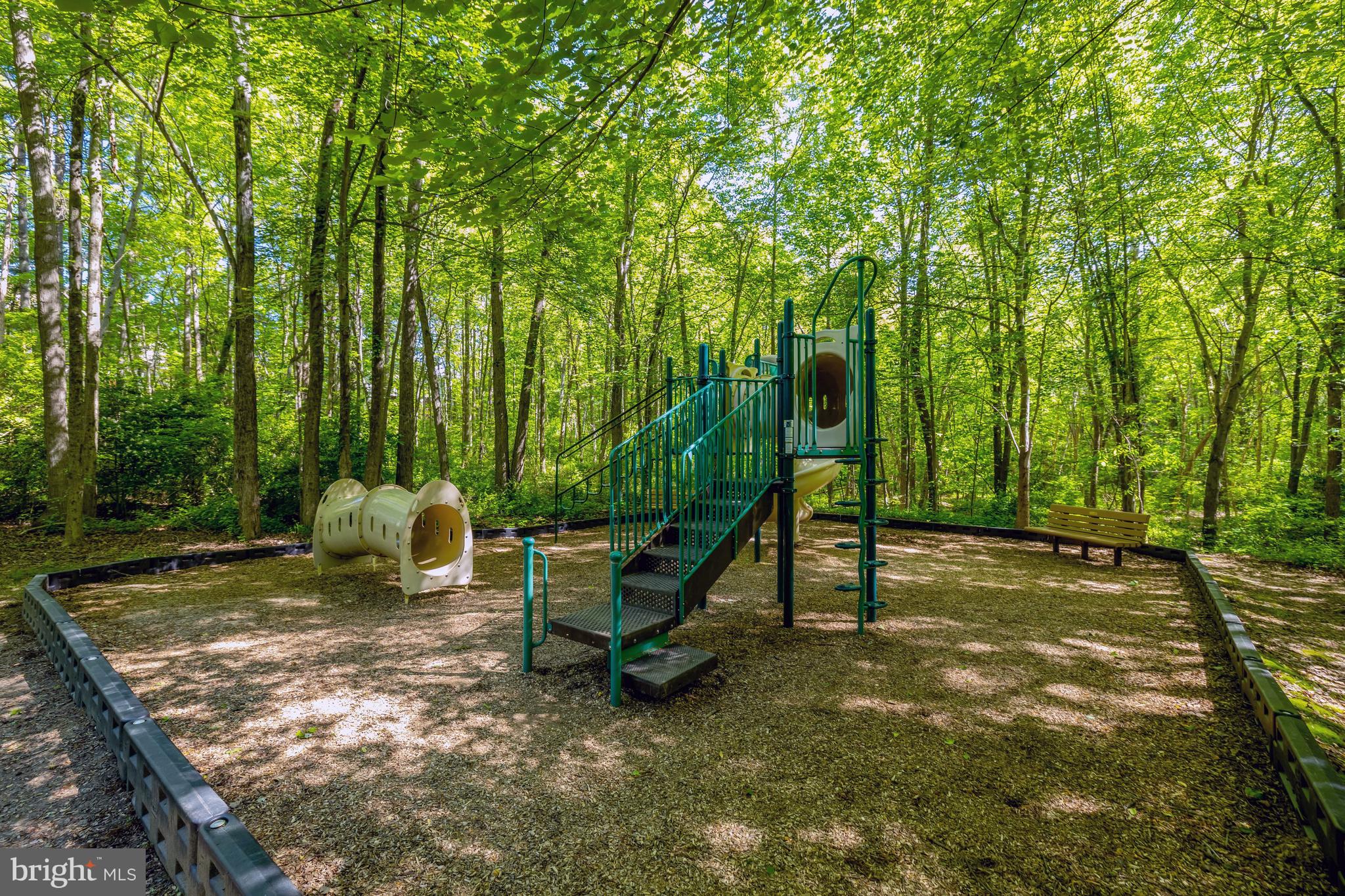 11413 Hollow Timber Way Reston, VA 20194 - Photo 60 of 72 Tot Lots