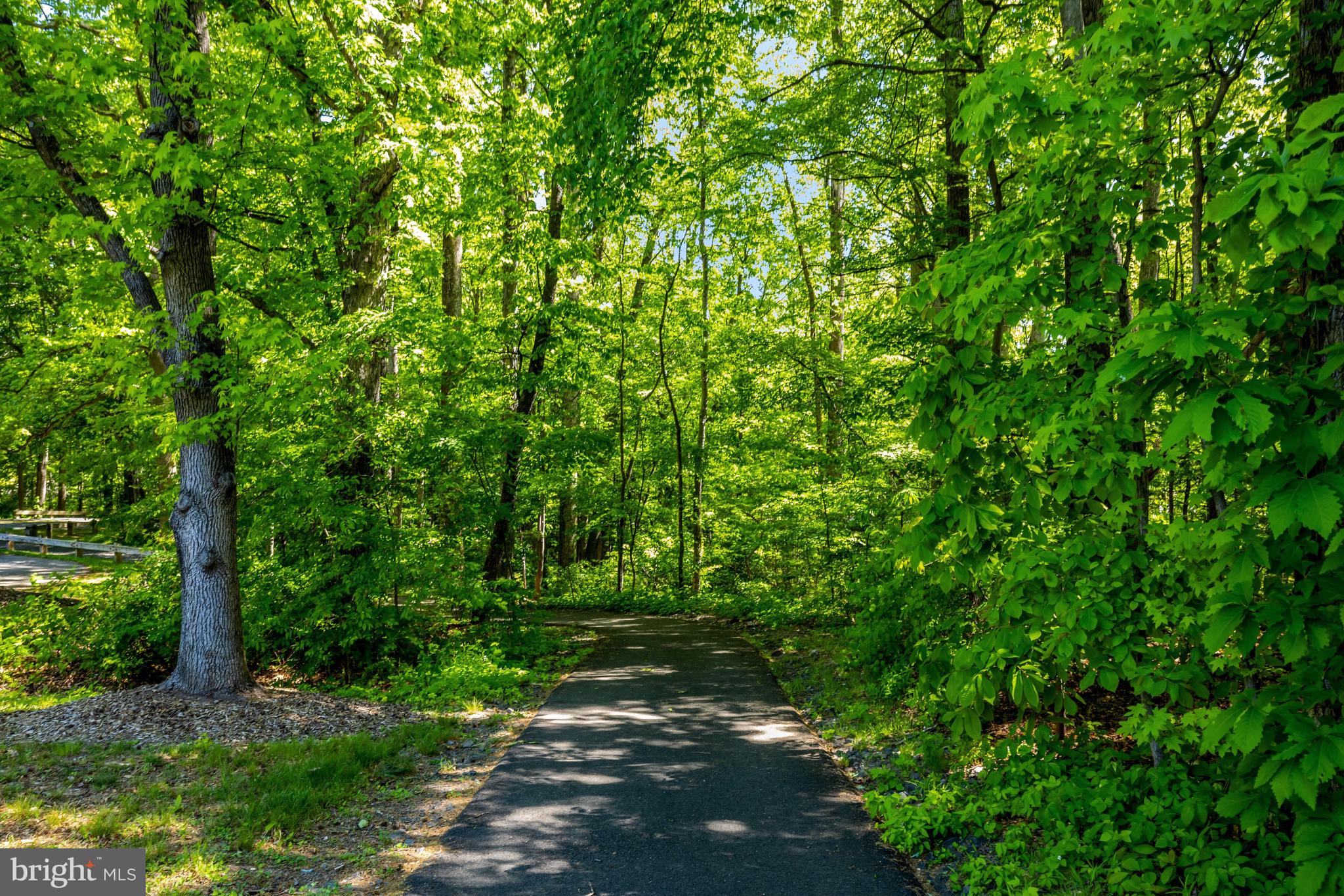 11413 Hollow Timber Way Reston, VA 20194 - Photo 61 of 72 55 Miles of Paved Pathways