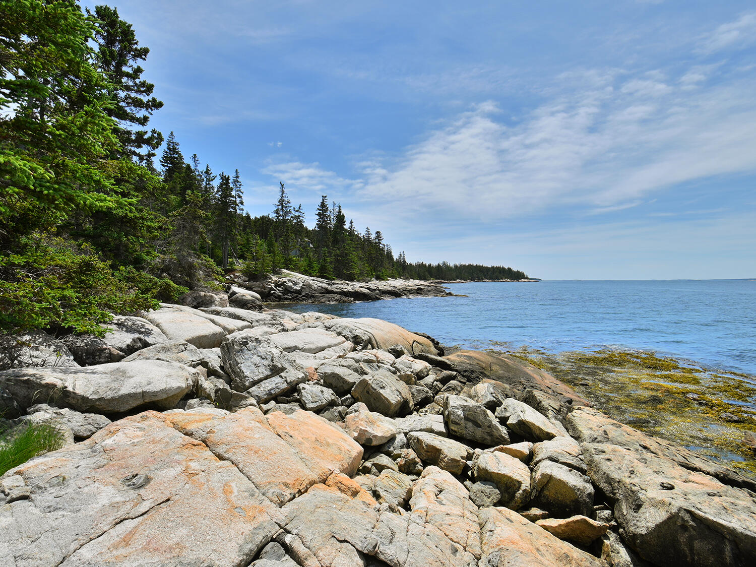 541 Jericho Bay Road Swans Island, ME 04685 - Photo 49 of 52 Coastline