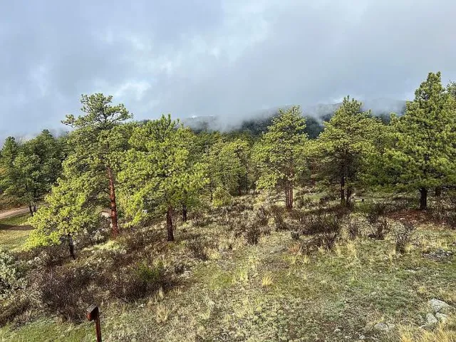 $695,000 | 783 Chimney Rock Drive, Livermore, CO 80536