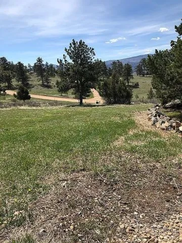 $695,000 | 783 Chimney Rock Drive, Livermore, CO 80536