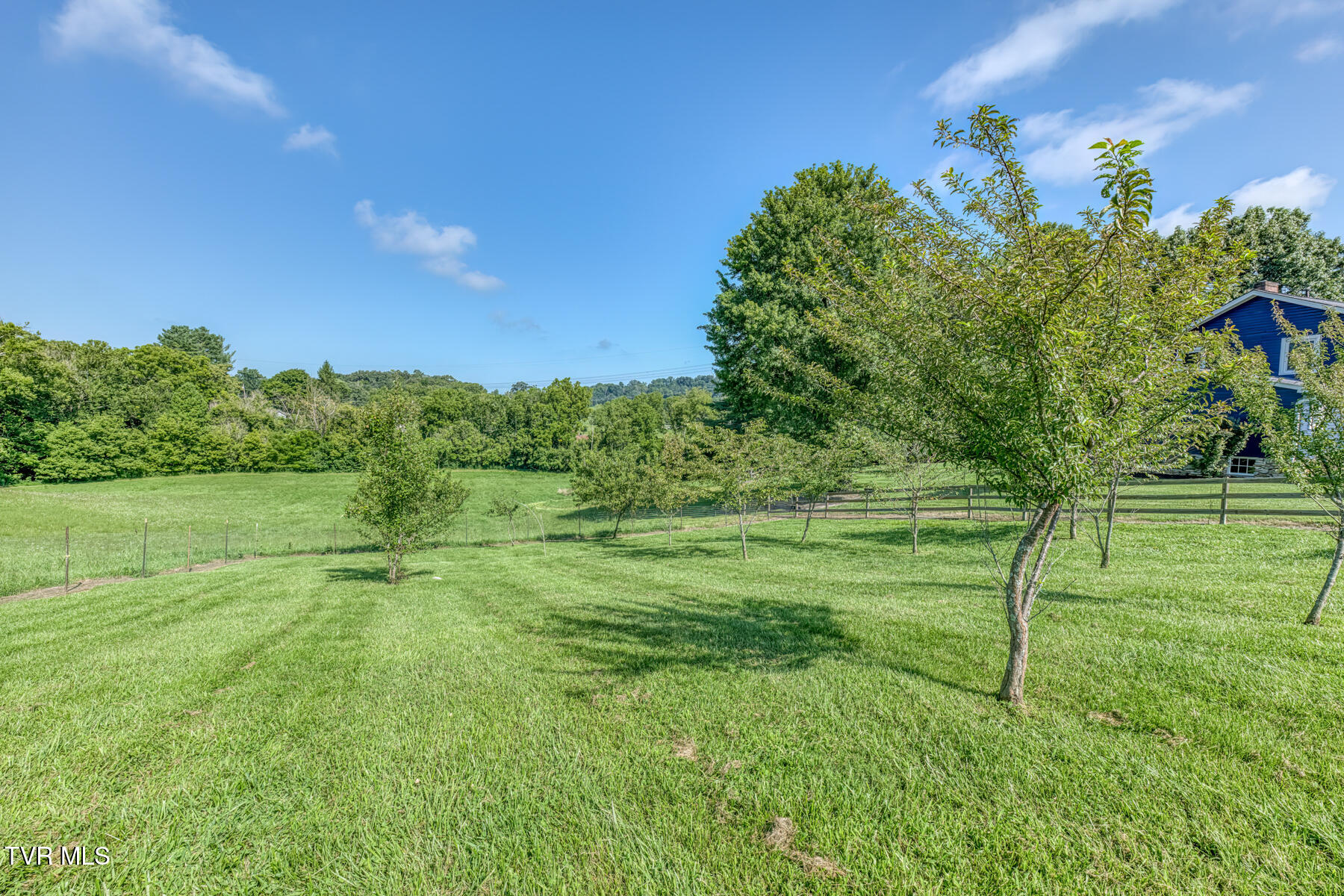 419 Kitzmiller Road Gray, TN 37615 - Photo 64 of 94 419 Kitzmiller Rd-81