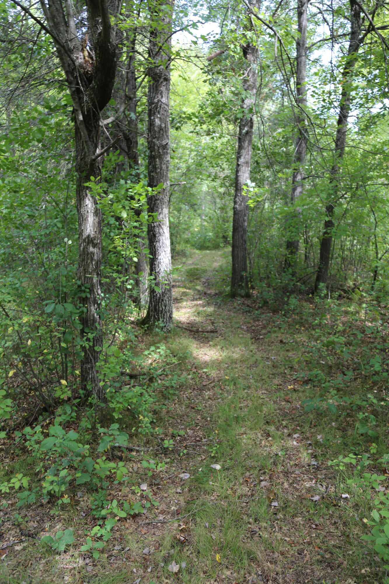 12249 Firefly Road Lafayette, WI 54656 - Photo 10 of 23 IMG_6004