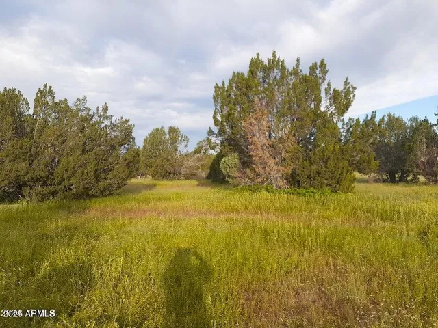 a view of a lake with mountain in the back
