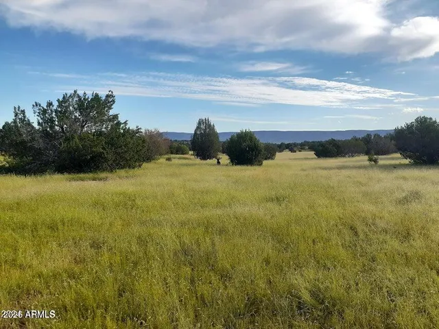 $9,900 | 32018 Calle Ines, Seligman, AZ 86337