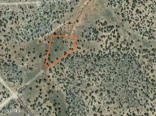 $9,900 | 32018 Calle Ines, Seligman, AZ 86337