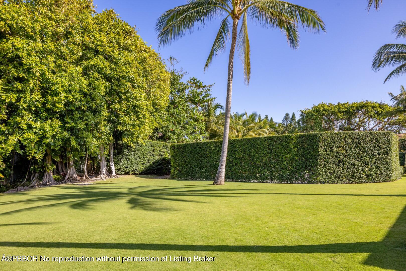 710 South County Road Palm Beach, FL 33480 - Photo 18 of 69 a view of a swimming pool with a yard