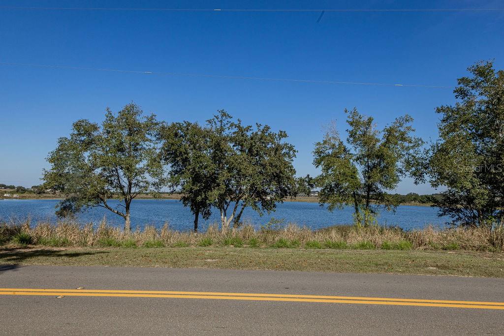 336 Lake Mabel Loop Road Lake Wales, FL 33898 - Photo 2 of 60 a view of a yard with a tree
