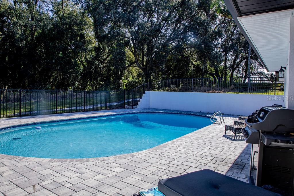 336 Lake Mabel Loop Road Lake Wales, FL 33898 - Photo 42 of 60 a view of a backyard and swimming pool