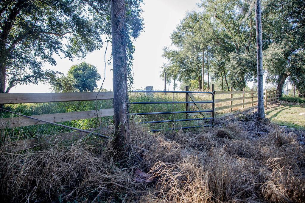 336 Lake Mabel Loop Road Lake Wales, FL 33898 - Photo 50 of 60 a view of outdoor space with garden