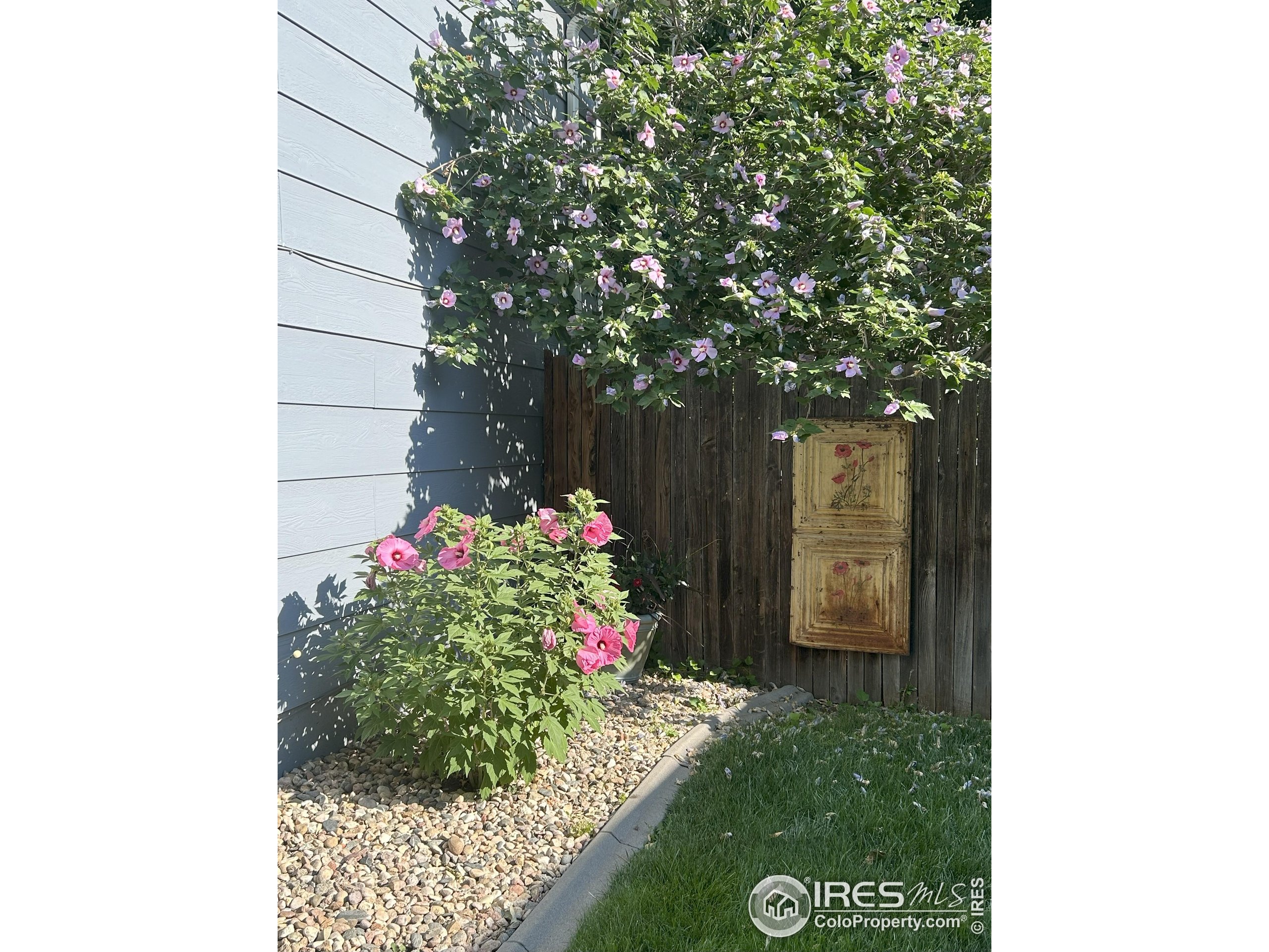 2500 Wapiti Road Fort Collins, CO 80525 - Photo 33 of 34 a backyard of a house with lots of green space