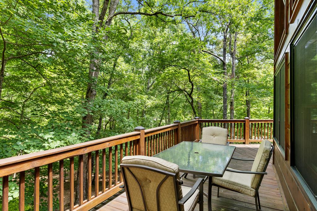 100 Arbor Way Blue Ridge, GA 30513 - Photo 27 of 48 Gallery Image 27