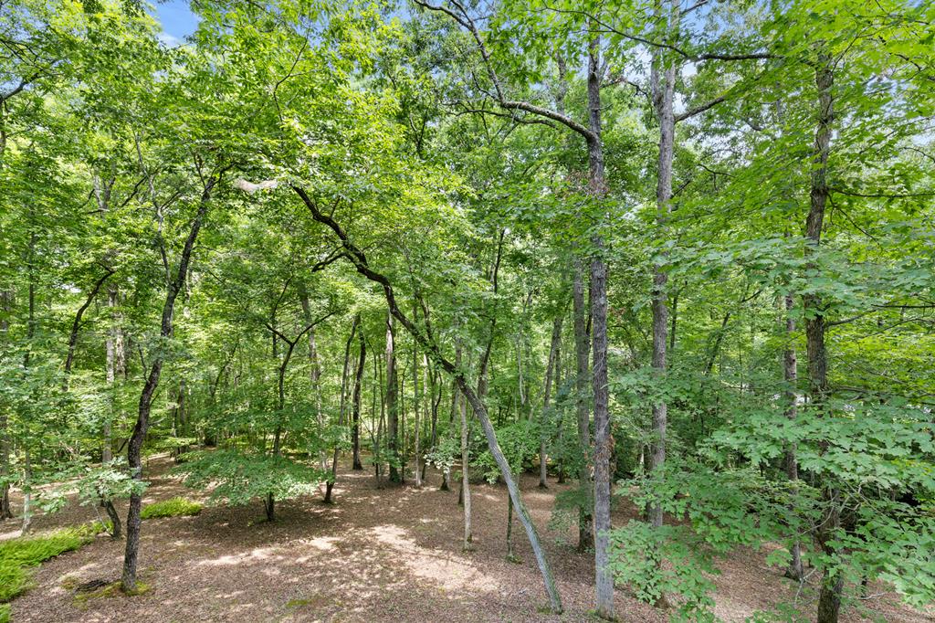 100 Arbor Way Blue Ridge, GA 30513 - Photo 45 of 48 Gallery Image 45