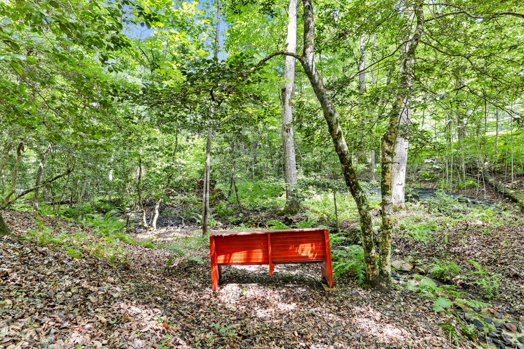 100 Arbor Way Blue Ridge, GA 30513 - Photo 46 of 48 Gallery Image 46