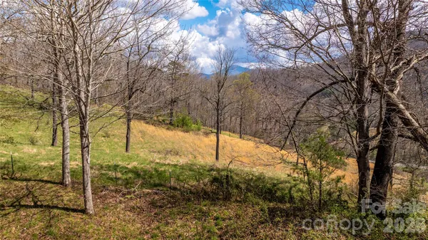 $90,000 | 90 Last Coyote Trail, Canton, NC 28716