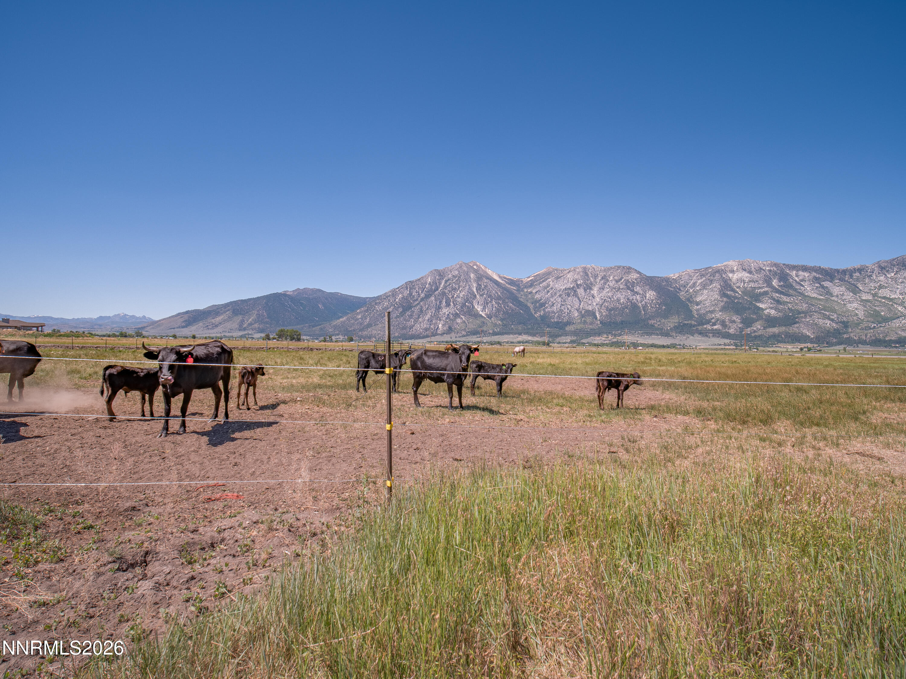 1225 Highway 88 Gardnerville, NV 89460 - Photo 10 of 25 Photo-3