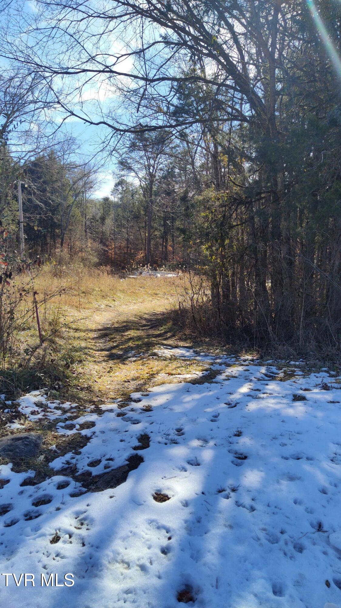 20-acres Dunville Gap Road Rutledge, TN 37861 - Photo 7 of 24 AccessIntoProperty2