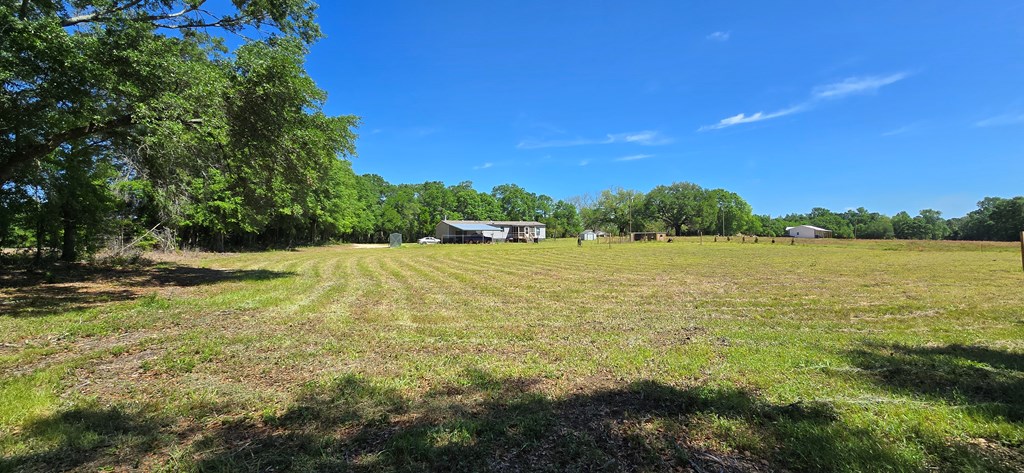 800 Grady Garner Road Slocomb, AL 36375 - Photo 13 of 49