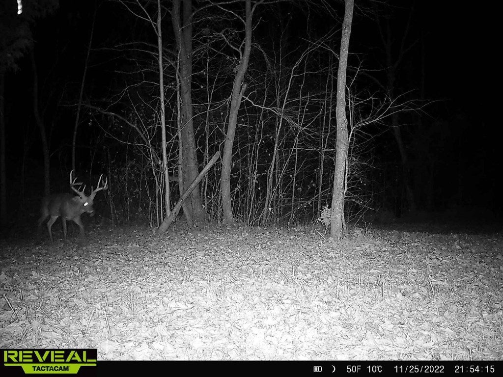 634 Salem Church Road Dillwyn, VA 23936 - Photo 14 of 36 Gallery Image 14