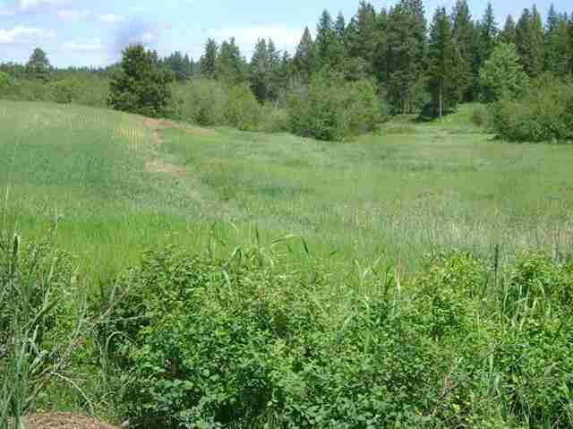 Xx Xx Herman Road, Unit B Deer Park, WA 99006 - Photo 4 of 12