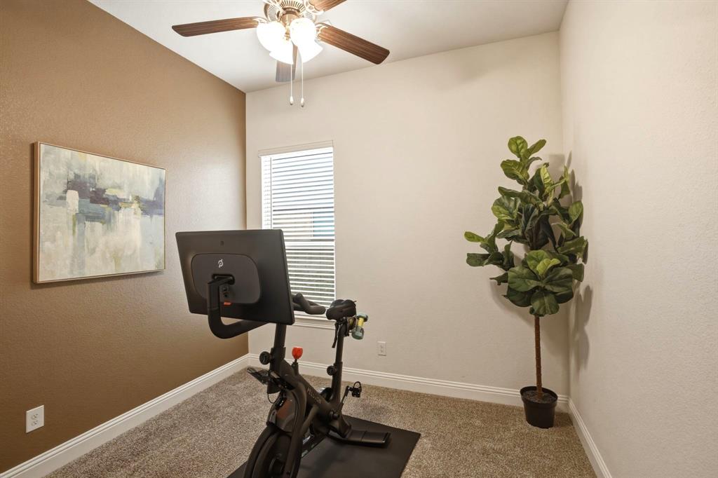 2909 Faro Road Aubrey, TX 76227 - Photo 19 of 32 a view of workspace with a potted plant
