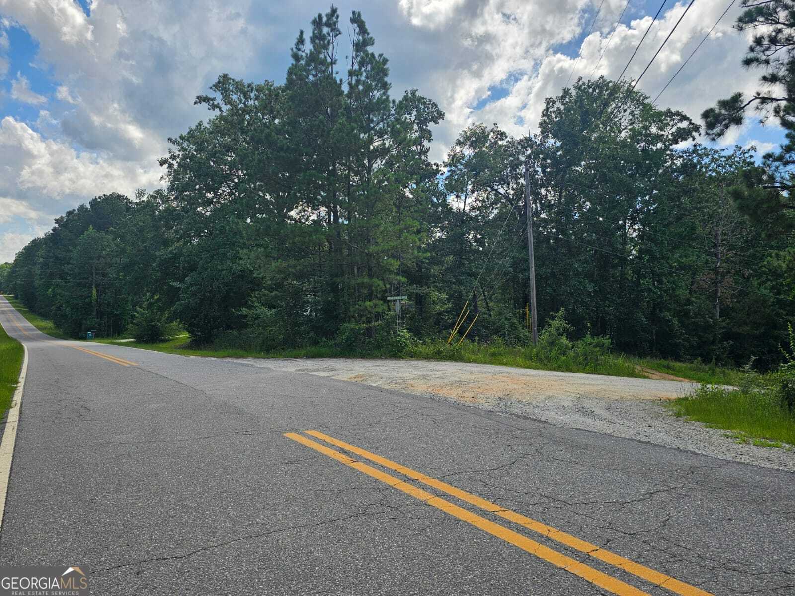 2.8-ac Bear Creek Point Road Mansfield, GA 30055 - Photo 4 of 7 a view of a yard with plants and large trees