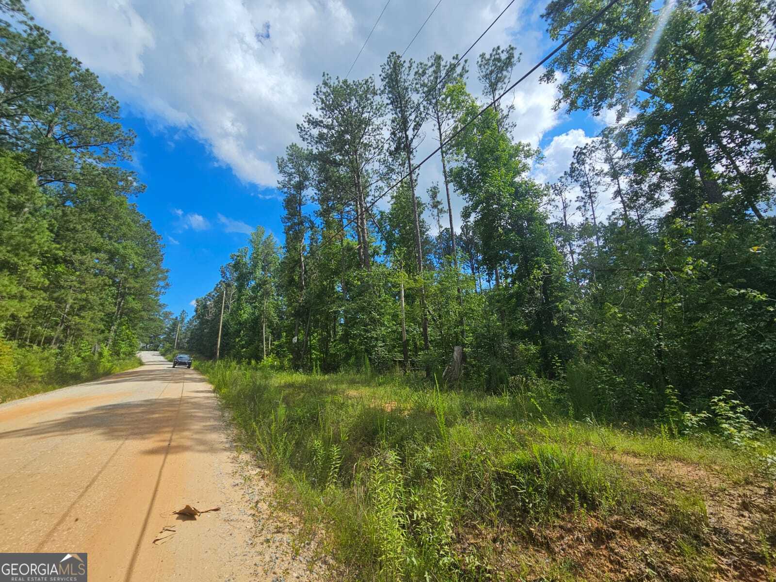 2.8-ac Bear Creek Point Road Mansfield, GA 30055 - Photo 6 of 7 a view of backyard with green space