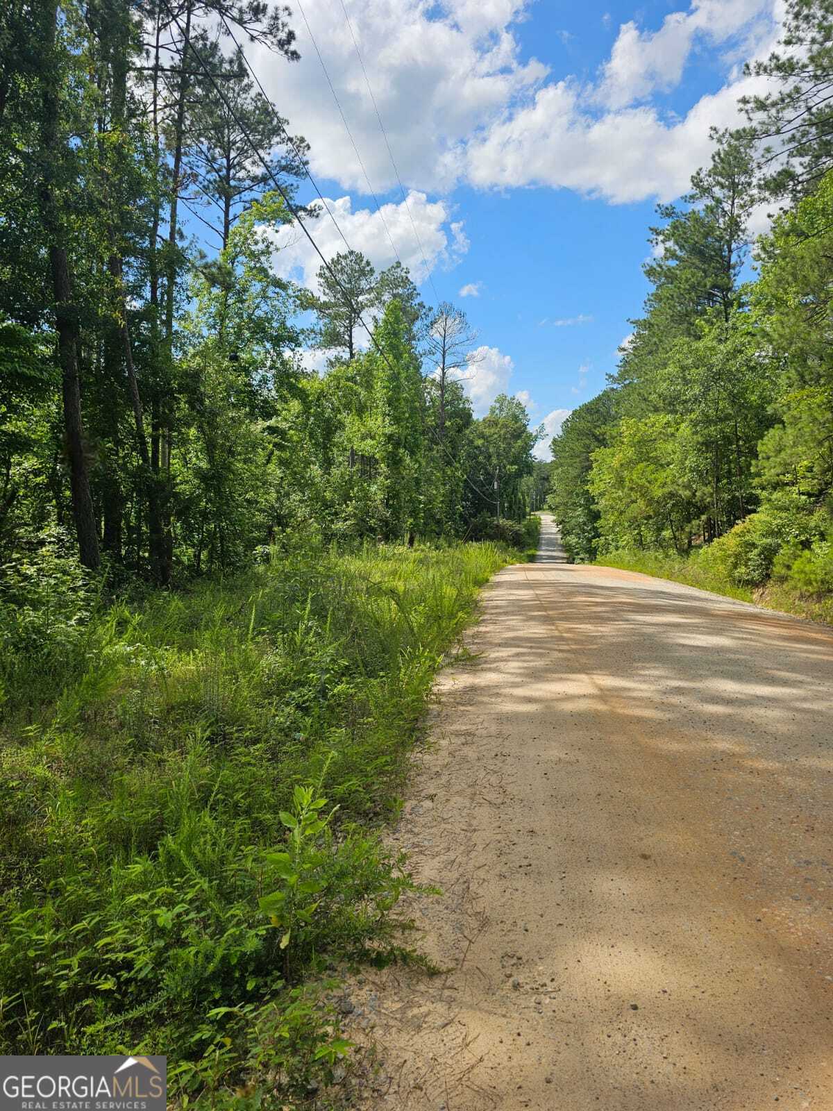 2.8-ac Bear Creek Point Road Mansfield, GA 30055 - Photo 7 of 7 a view of a yard with an outdoor space