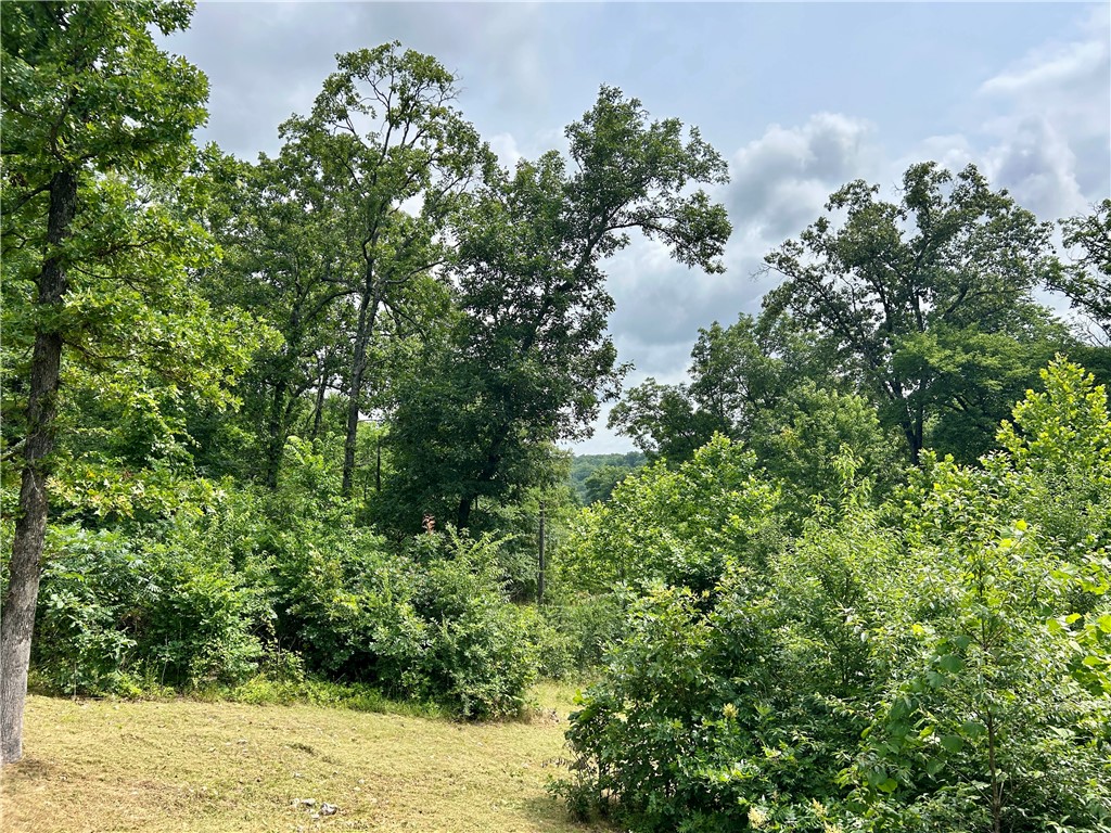 462789 East 820 Road Stilwell, OK 74960 - Photo 41 of 48 Wooded lot with mature trees and natural foliage