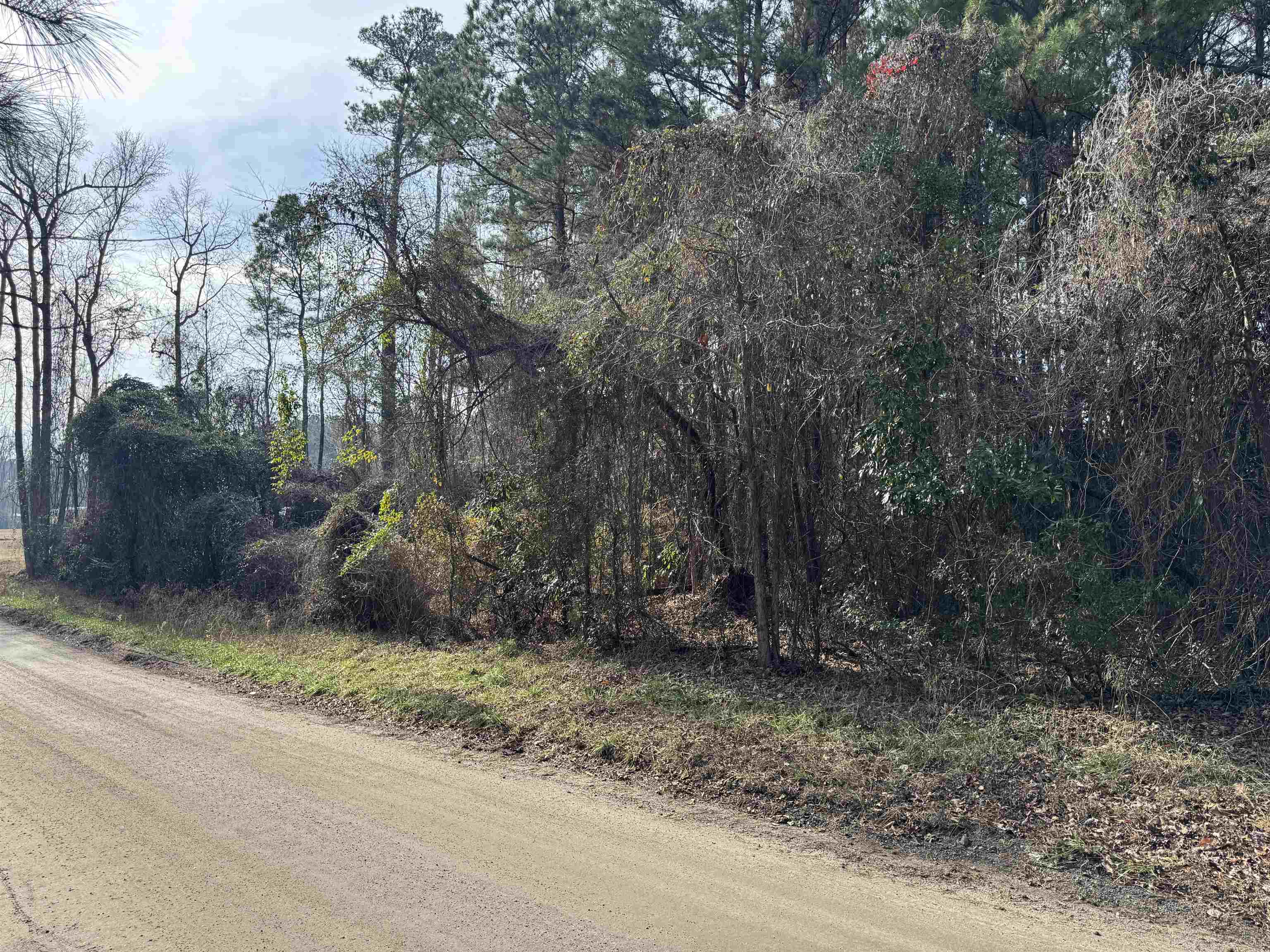 4 Rolling River Road Longs, SC 29568 - Photo 1 of 3