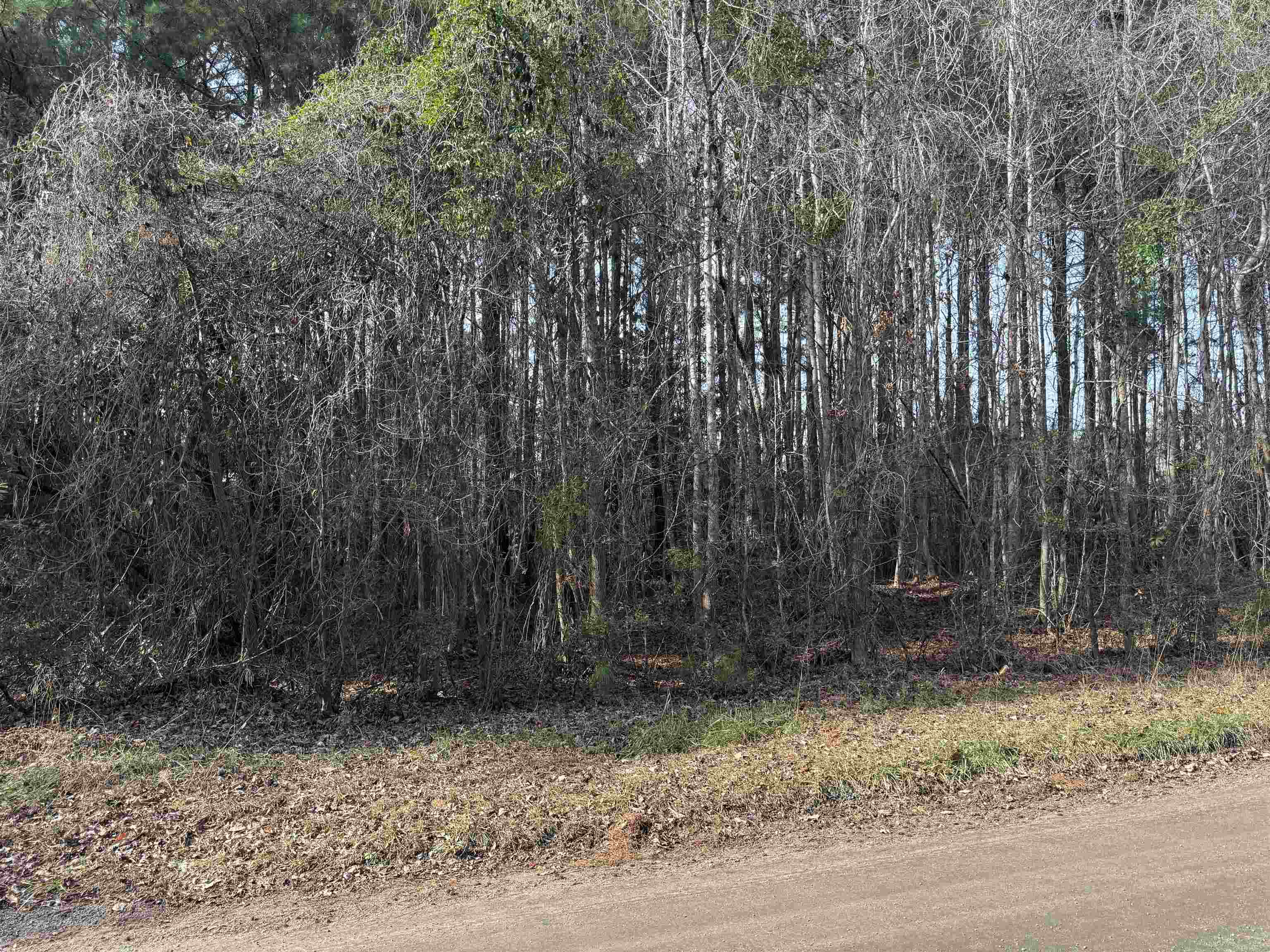 4 Rolling River Road Longs, SC 29568 - Photo 2 of 3