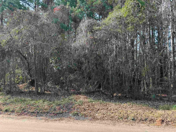 $60,000 | 4 Rolling River Road, Longs, SC 29568