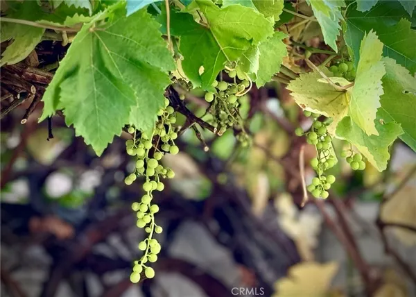 $4,195 | 32 Melrose Drive, Mission Viejo, CA 92692